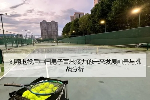 刘翔退役后中国男子百米接力的未来发展前景与挑战分析