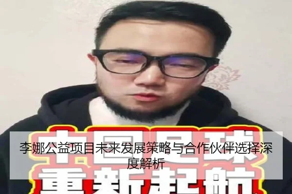 李娜公益项目未来发展策略与合作伙伴选择深度解析